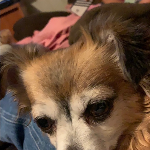 Meet your Posher, Tim - Picture 1 of 1